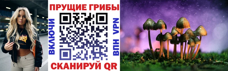 Псилоцибиновые грибы мухоморы Анапа