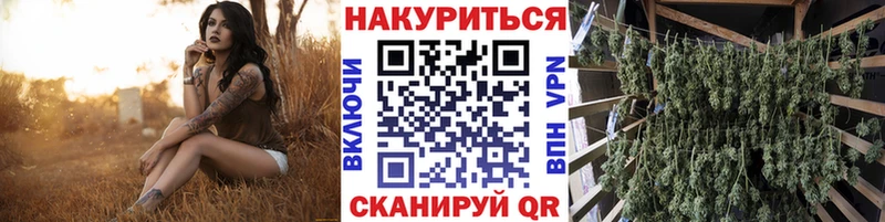 Бошки Шишки семена  Купить  Анапа 